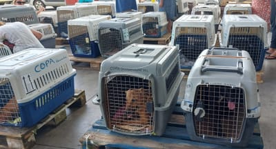 Flete COPAG a partir del 30 de octubre de 2023