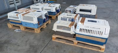 COPA DE CARGA Guadalupe y Dependencias a partir del 1 de diciembre de 2023