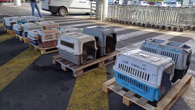 FRET Le COPA Guadeloupe et Dépendances du 02 février 2024