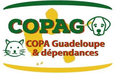 Boletín febrero 2024