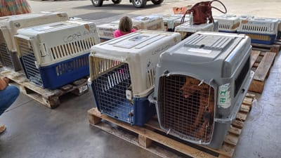 COPA DE CARGA Guadalupe y Dependencias a partir del 8 de marzo de 2024