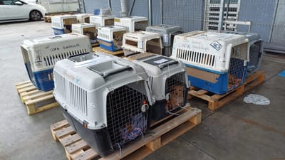 COPA DE CARGA Guadalupe y Dependencias del 21 de marzo de 2024