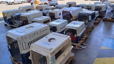 COPA DE CARGA Guadalupe y Dependencias del 27 de marzo de 2024