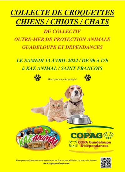 Collecte de croquettes à Saint-François le 13 avril 2024