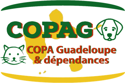 Copa Guadeloupe et dépendances