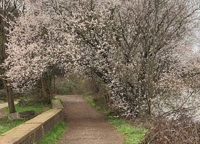 Welcome to The ViBRANT DaNCERS WEBPAGE image