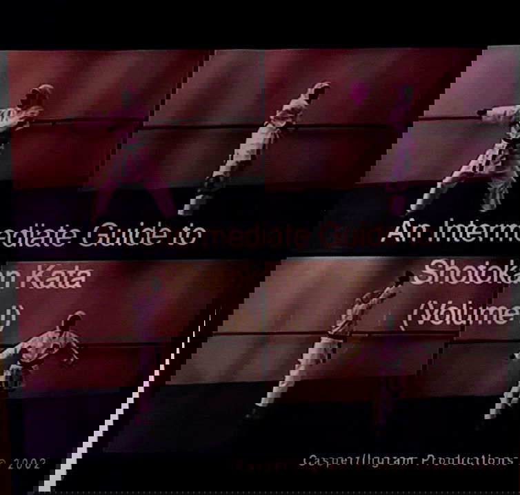 AN INTERMEDIATE GUIDE TO KATA      VOLUME I