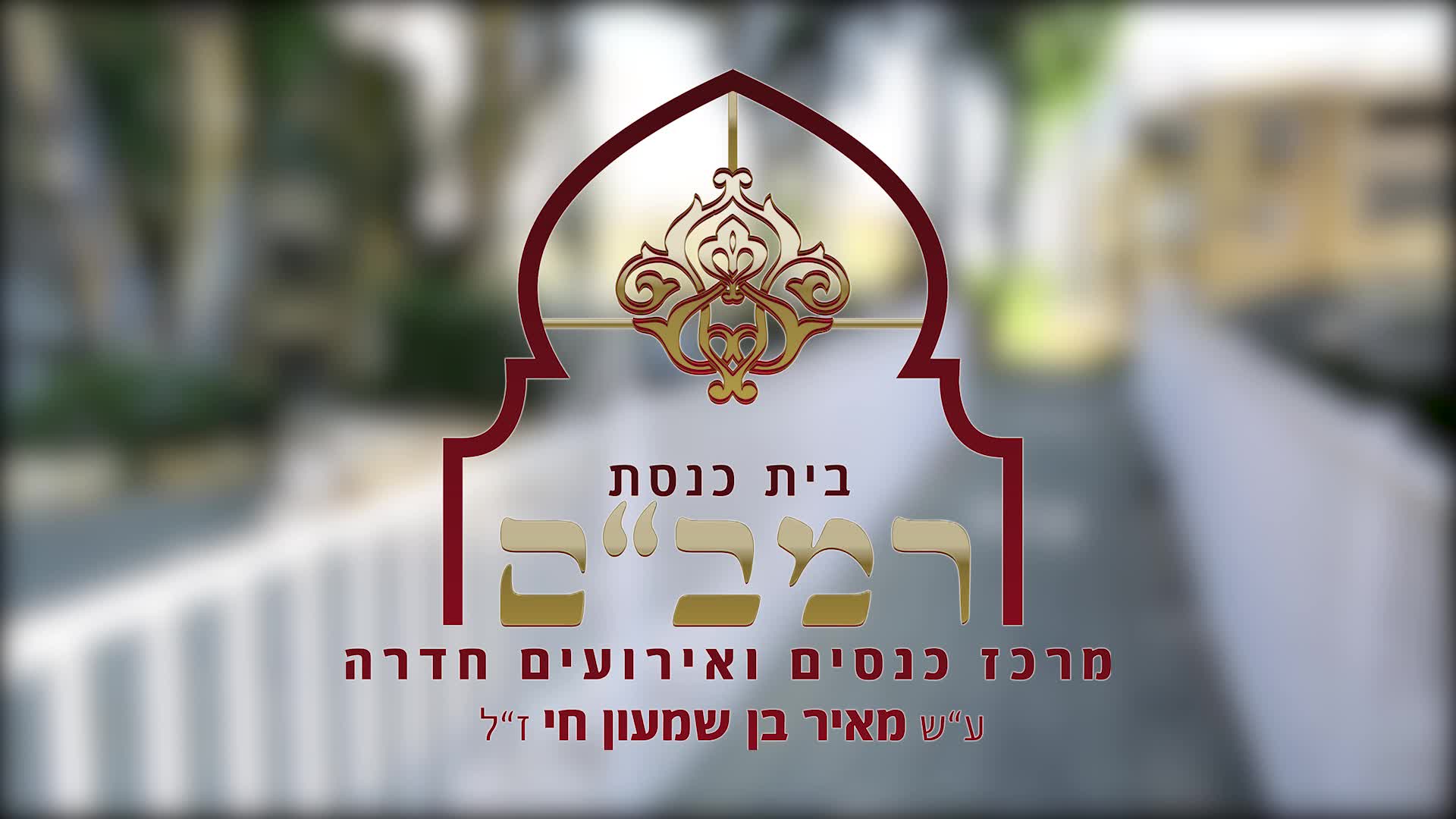 סרטון תדמית