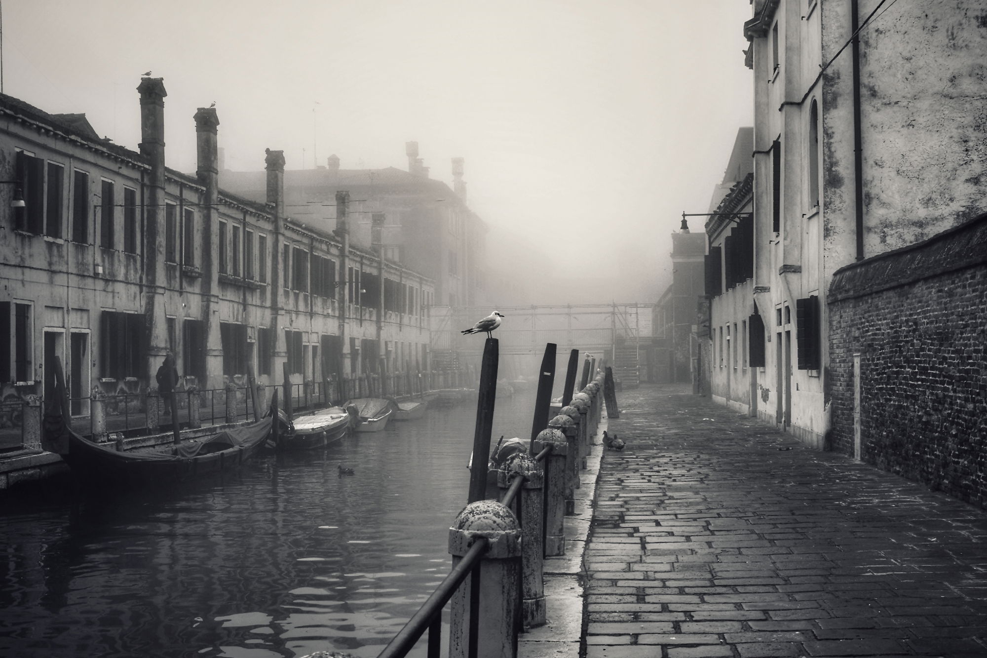 "Una giornata uggiosa"