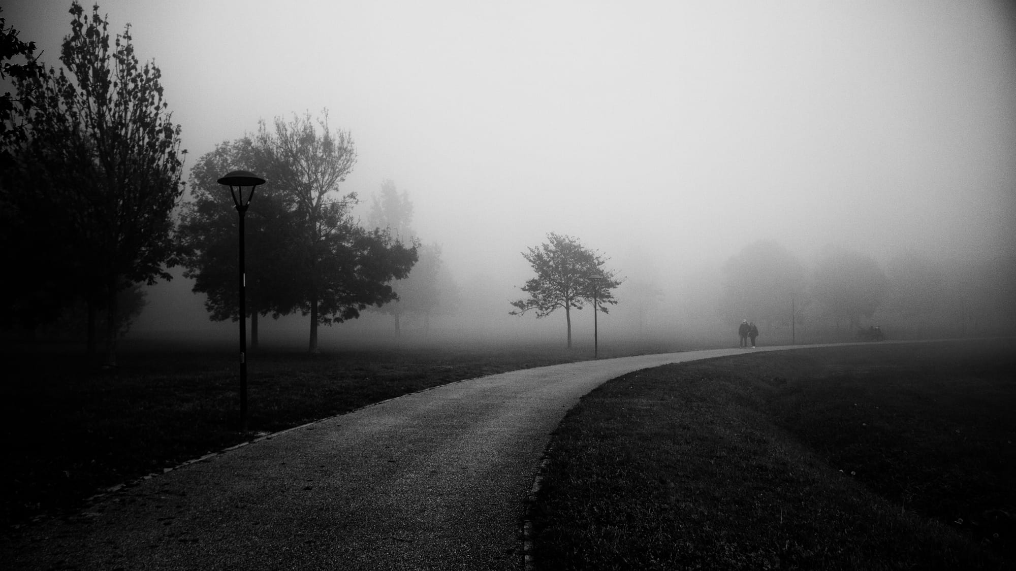 "Misty Day"