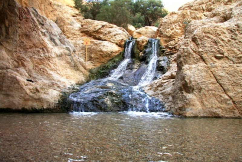 עין בוקק