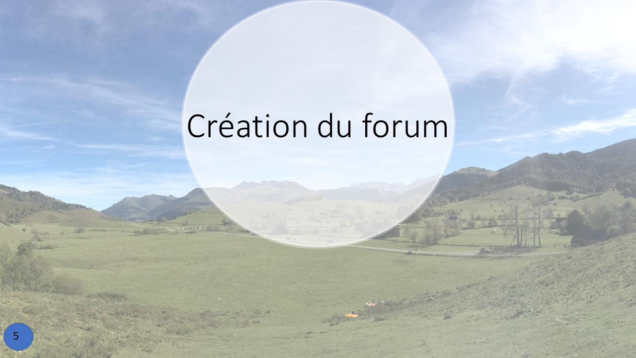 La création du forum