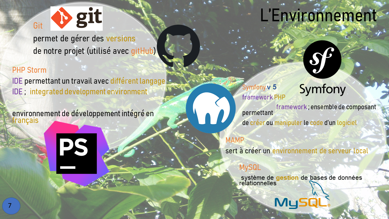 La création du forum