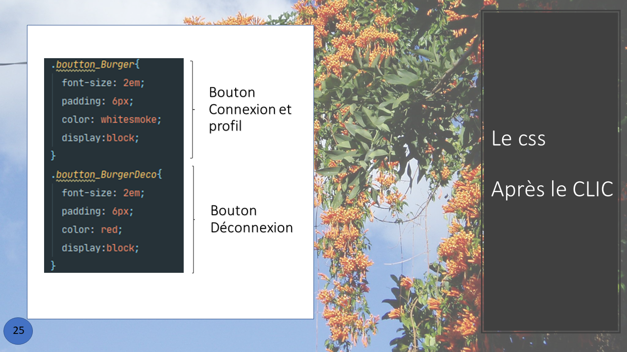 La présentation d'une fonction créée en Front