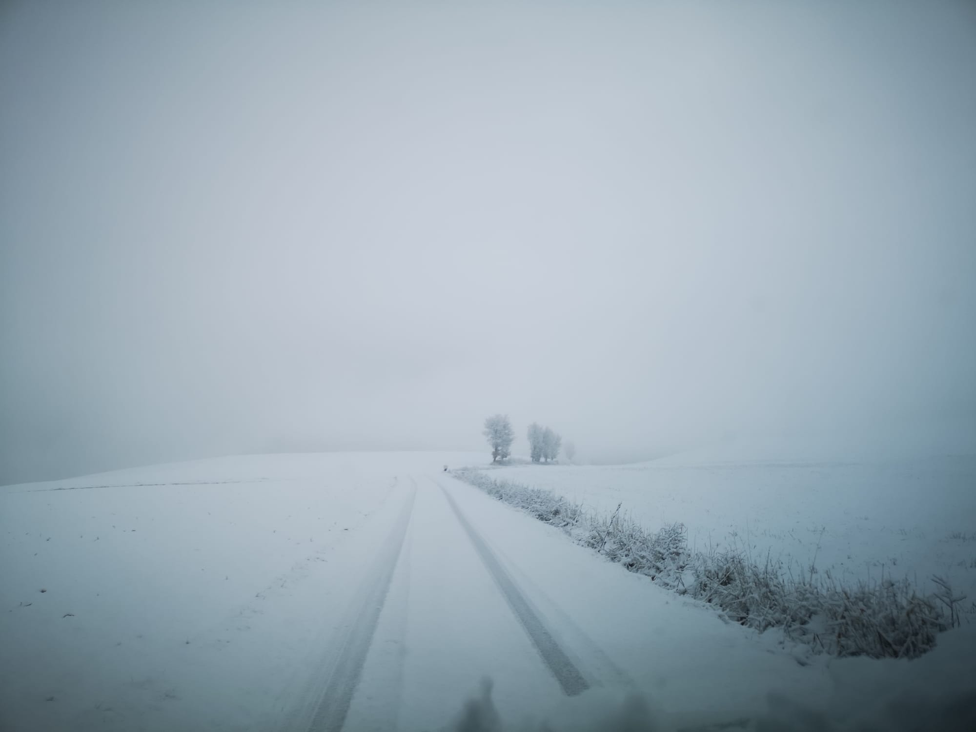 Début de l'hiver