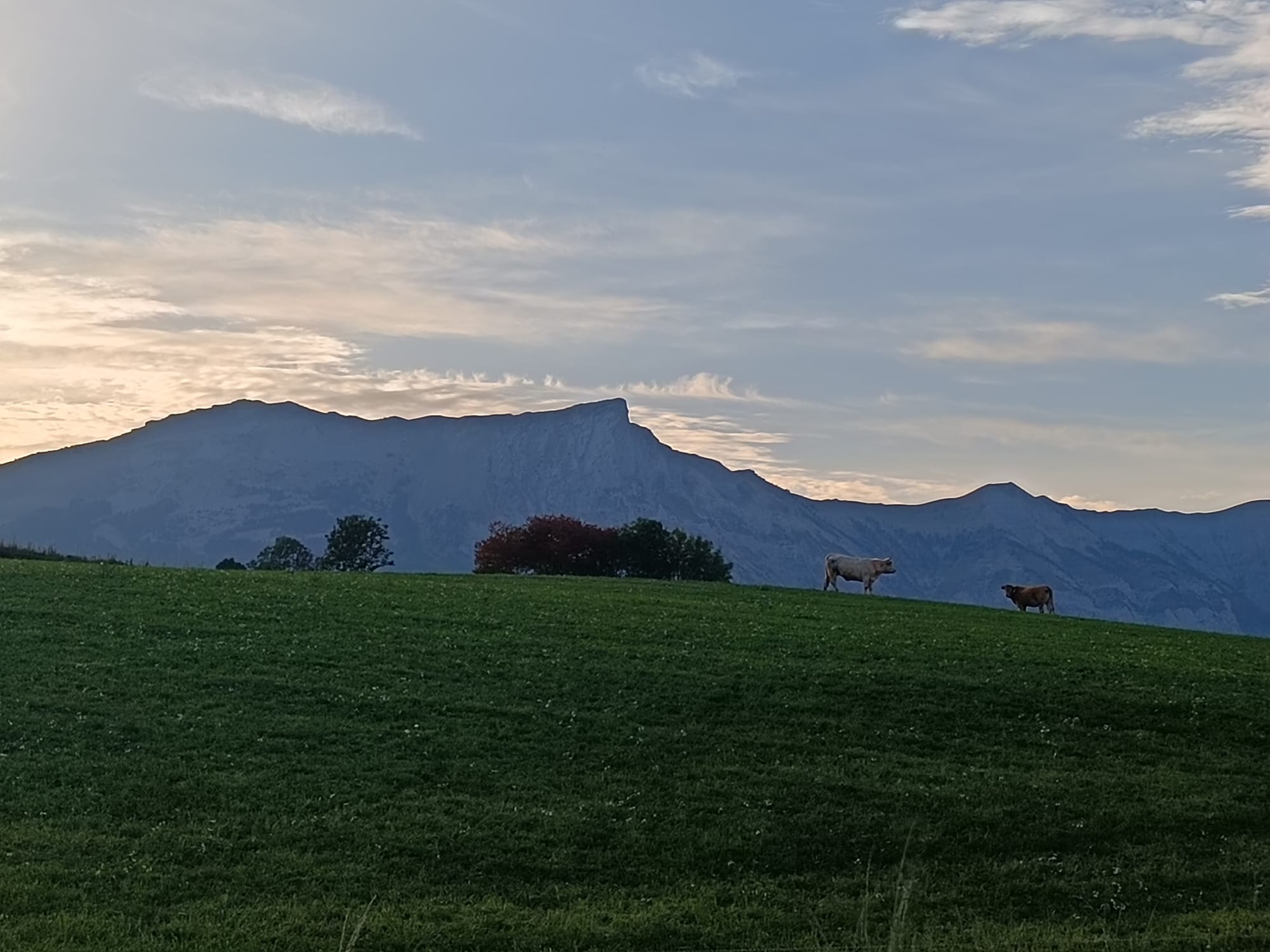 secteur Champsaur