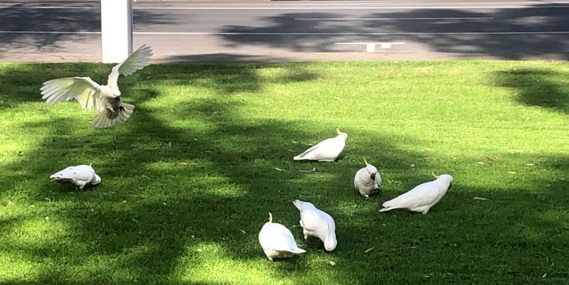 Finding our new routines