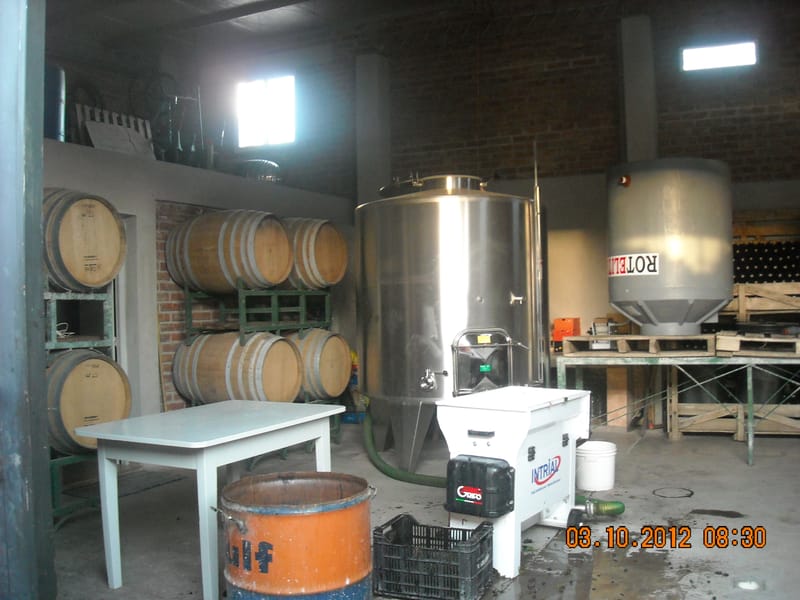 CONSULTORÍA EN ASESORAMIENTO DE VINOS