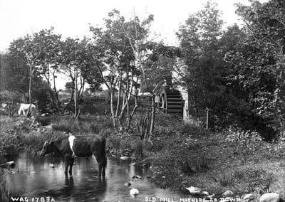 About Maghera image