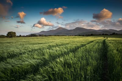 About Maghera image