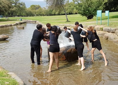 טיפול בקבוצה image