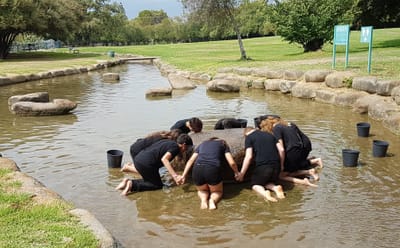 טיפול בקבוצה image