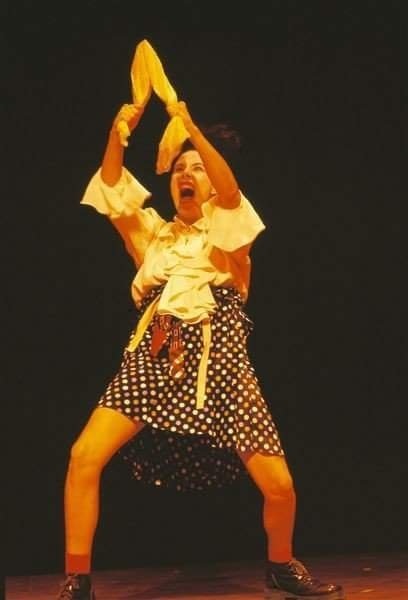 יש לי מעל 30 שנות ניסיון מקצועי במשחק הוראה בימוי וניהול אמנותי, עם שחקנים מקצועיים וחובבים בכל הרמות היתי שותפה בהקמה וניהול של שני מרכזי תיאטרון, בית ארמא ובי״ס הואדי בחיפא. אפשר בשמחה להזמין אותי לביים ולנהל אמנותית פרוייקט או ללמד סדנא קצרה, סדנת יום או קורס מלא.