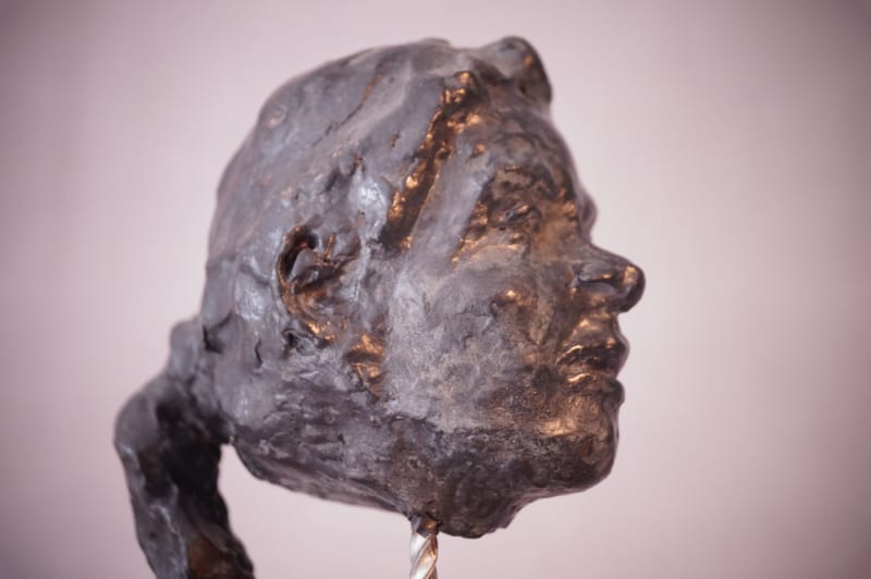 Terres cuites bustes