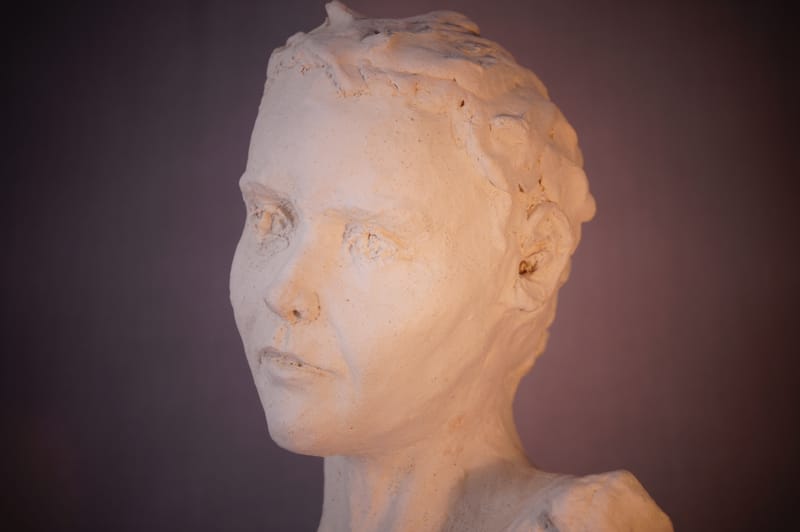 Terres cuites bustes