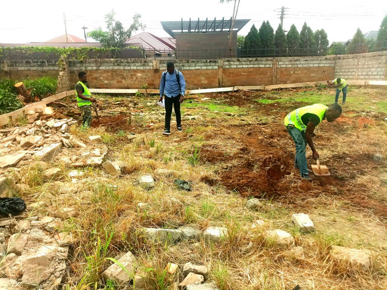 Setting and Pegging for Image Visualization Studios