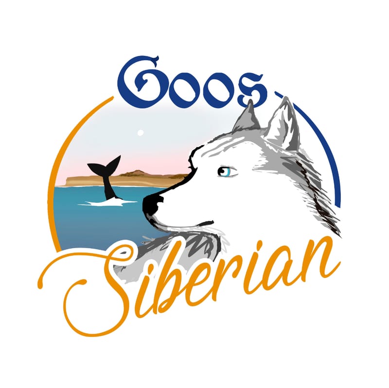 Comunicación Visual