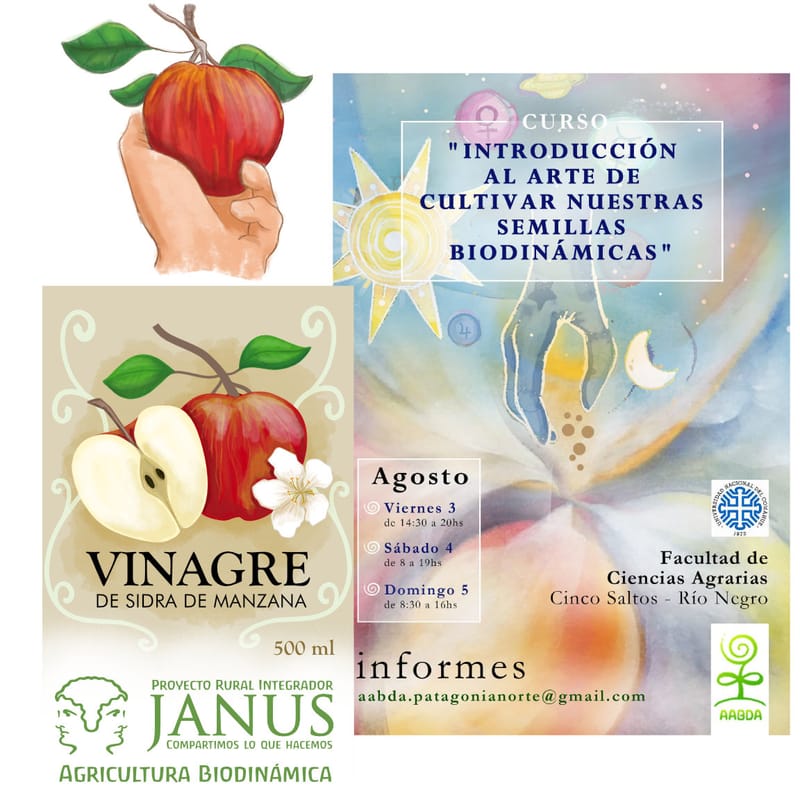 Comunicación Visual