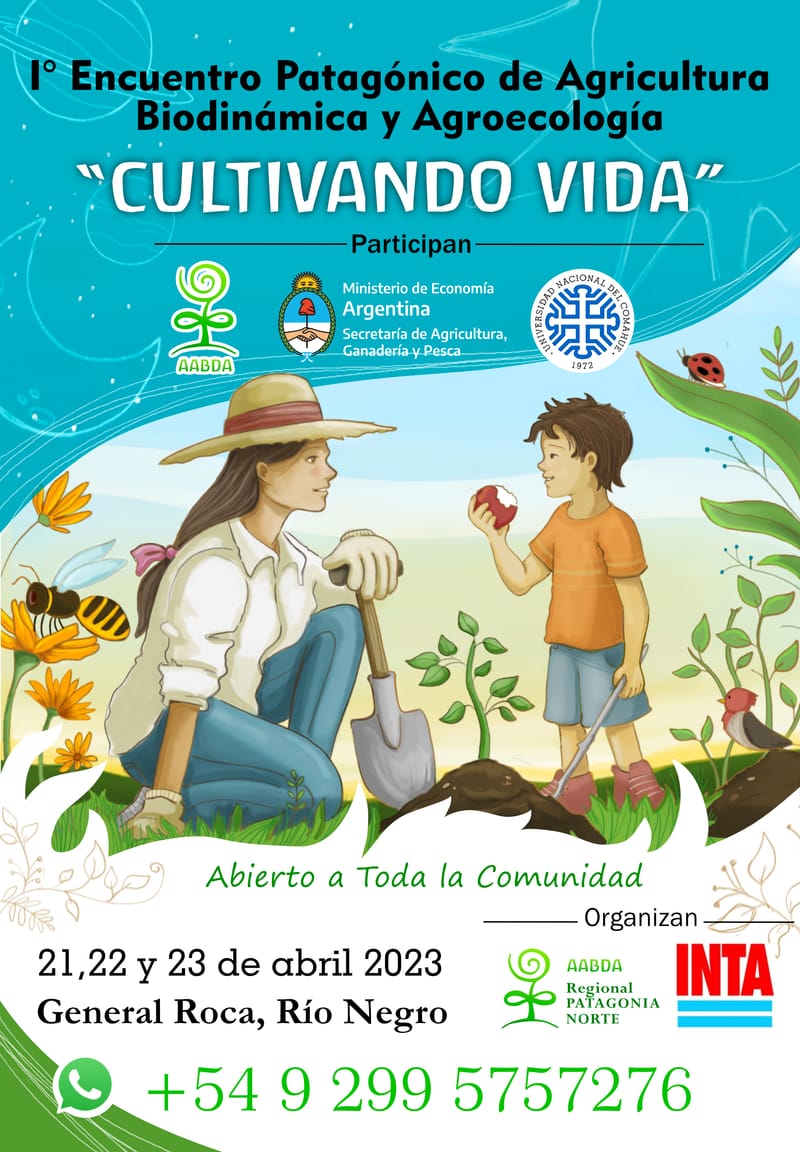 Comunicación Visual