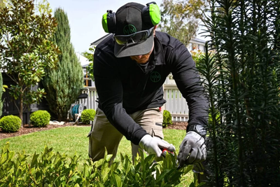 House and Yard Maintenance image