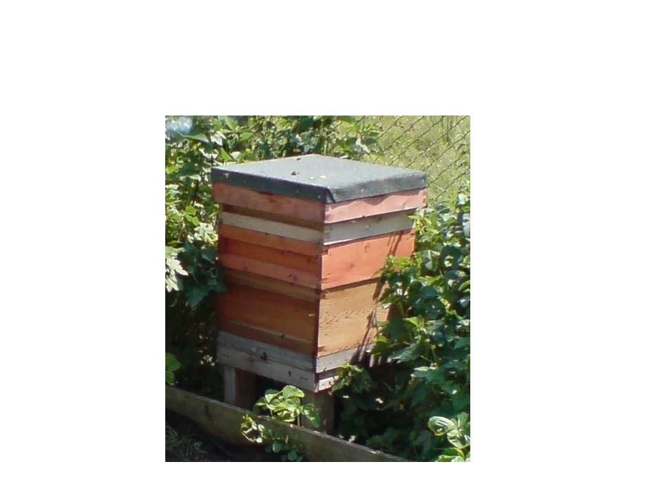 Maximum of four attendees per course