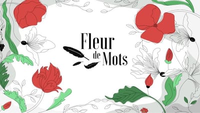 conseil littéraire/correction image