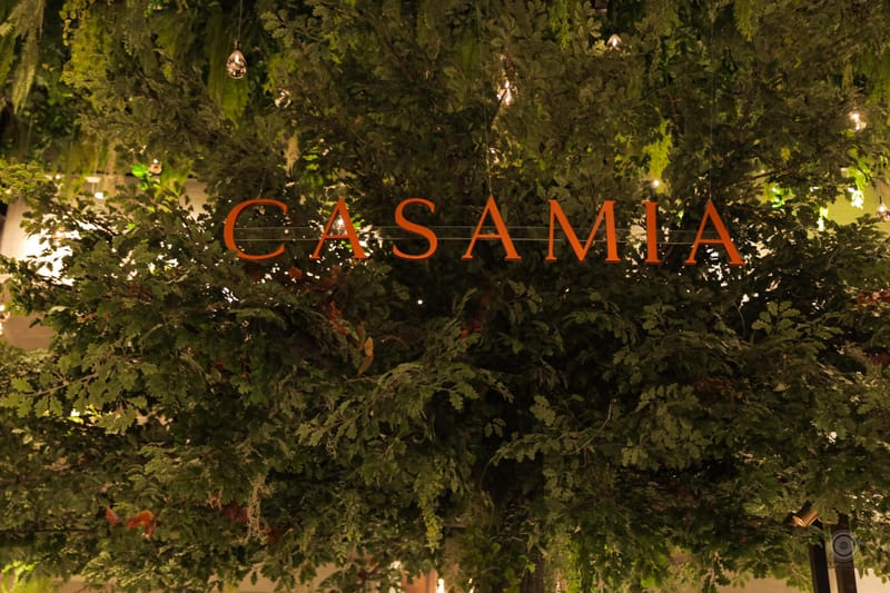 Casamia Party