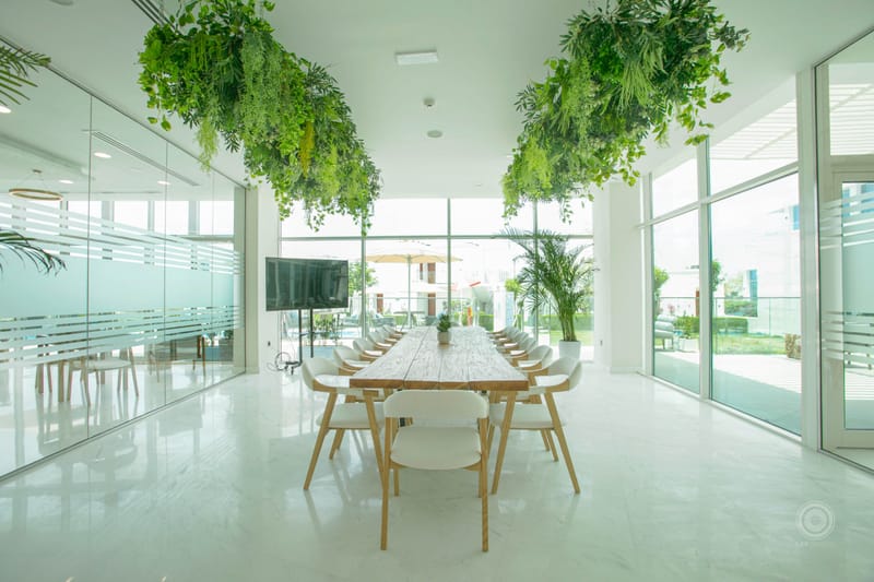 Zoya Health Resort - First look