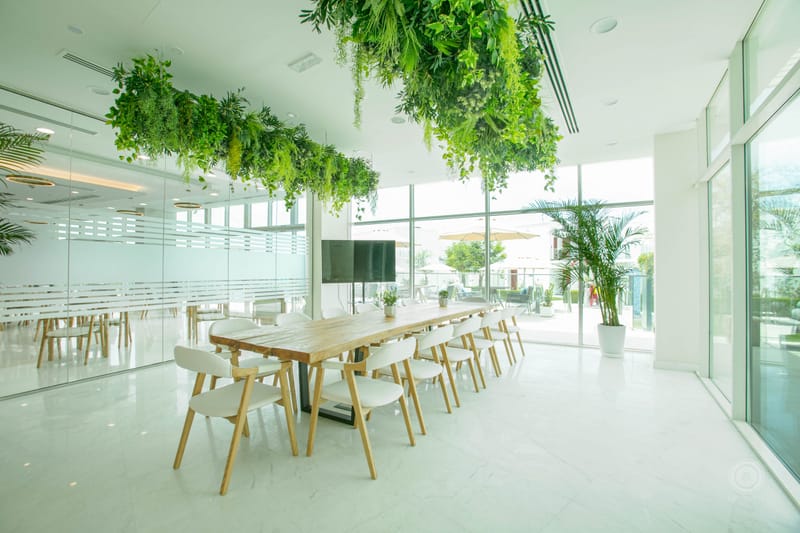 Zoya Health Resort - First look