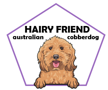 Hairy Friend Australian Cobberdog