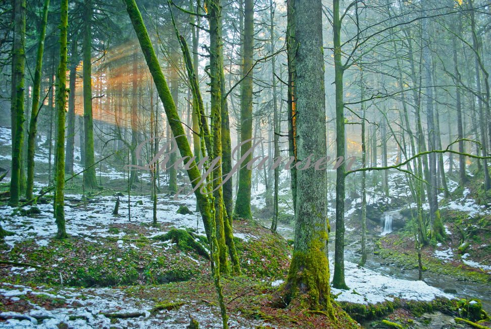 Magie der Natur