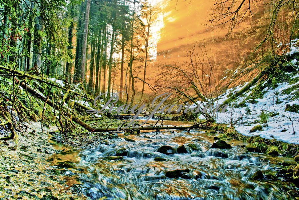 Magie der Natur