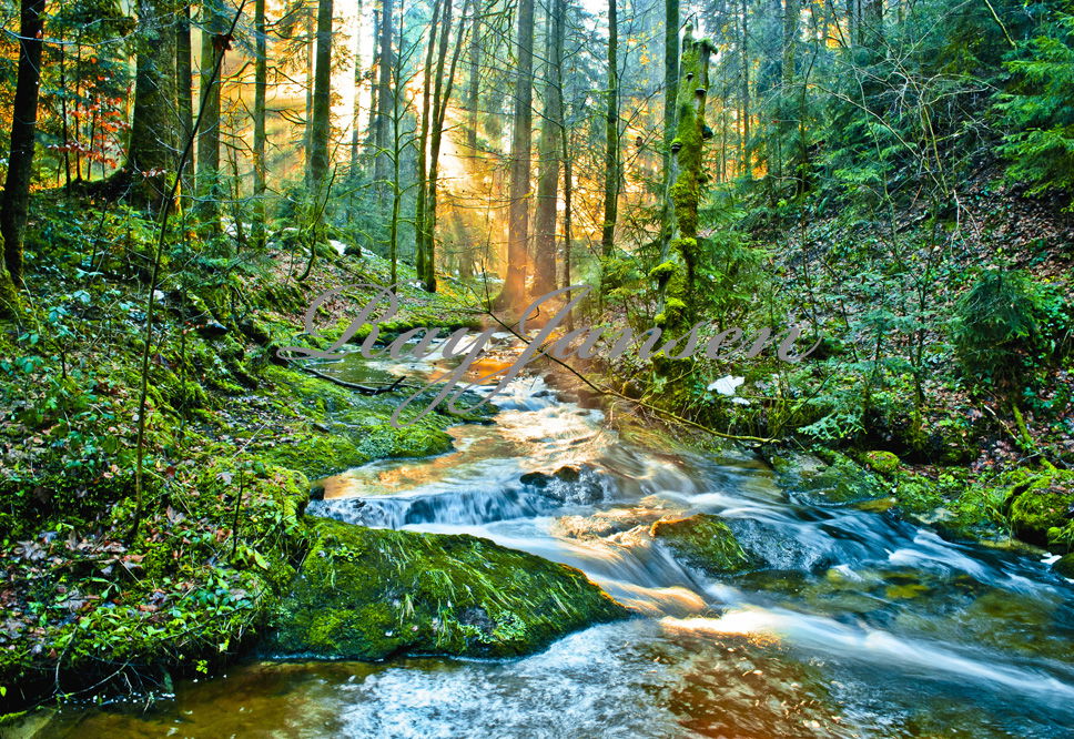 Magie der Natur