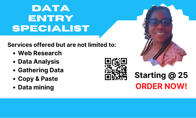 dnj.ent - Freelance Data Entry Specialist