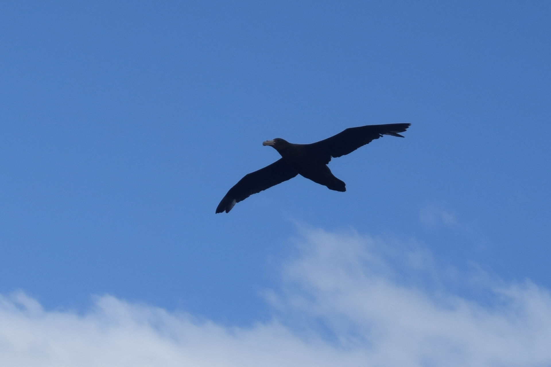  Cuentos sobre el amor y la espera 