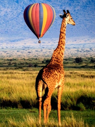 HOT AIR BALLOONING image