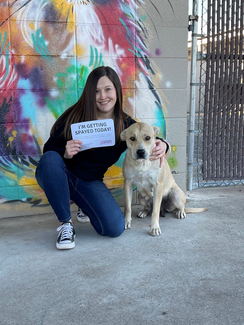 Phoebe funded by the animal welfare endowment fund of the community