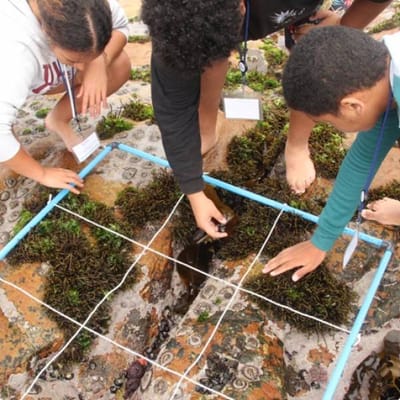 Two Ocean Aquarium Education Foundation image