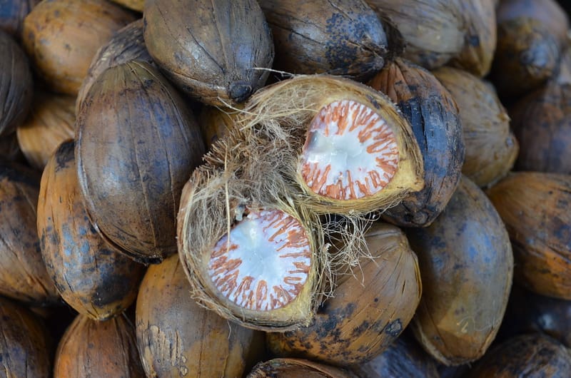 BETEL NUTS