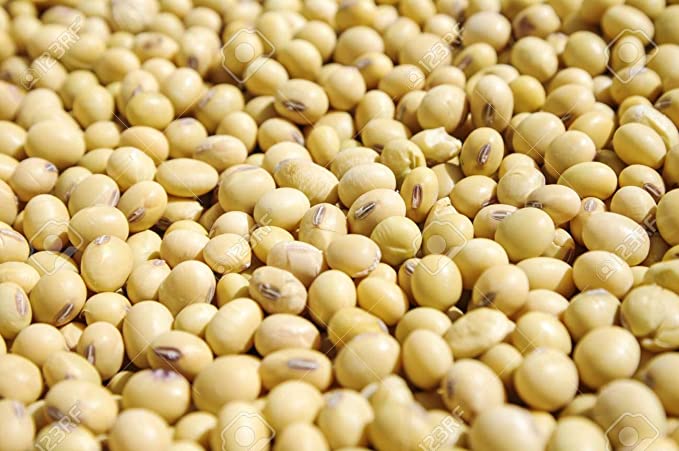 Soya Beans